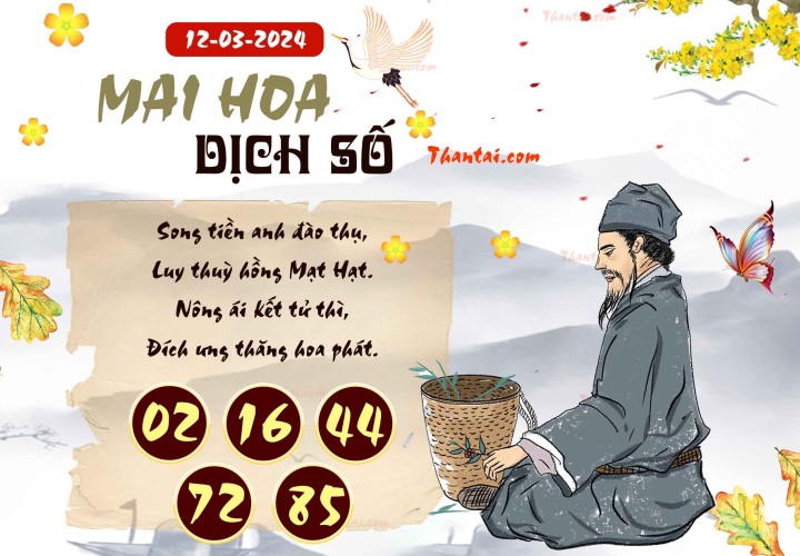 Mai Hoa Dịch Số 26/02/2024