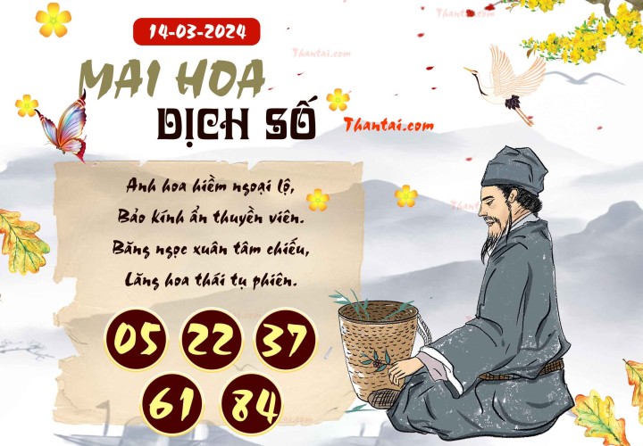 Mai Hoa Dịch Số 28/02/2024
