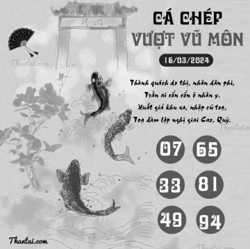 CÁ CHÉP VƯỢT VŨ MÔN 16/03/2024