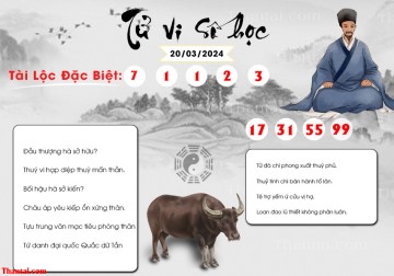 TỬ VI SỐ HỌC 20/03/2024