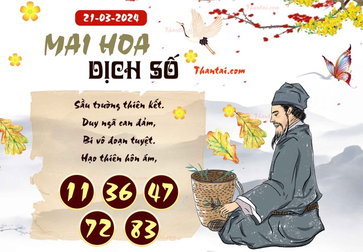 Mai Hoa Dịch Số 06/03/2024