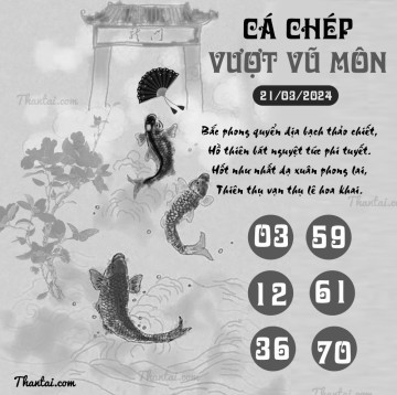 CÁ CHÉP VƯỢT VŨ MÔN 21/03/2024