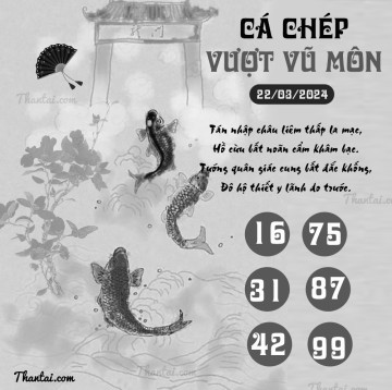 CÁ CHÉP VƯỢT VŨ MÔN 22/03/2024