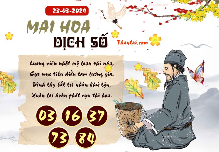Mai Hoa Dịch Số 08/03/2024