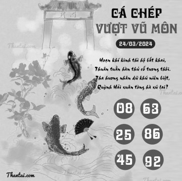 CÁ CHÉP VƯỢT VŨ MÔN 24/03/2024