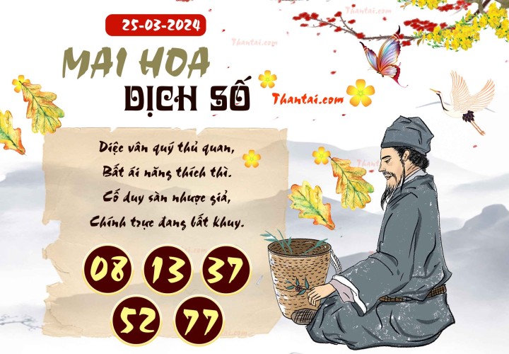 Mai Hoa Dịch Số 10/03/2024