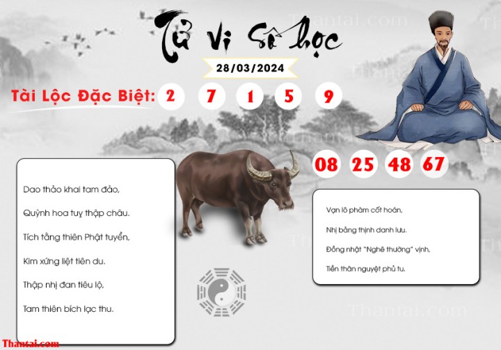 TỬ VI SỐ HỌC 13/03/2024