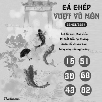 CÁ CHÉP VƯỢT VŨ MÔN 28/03/2024