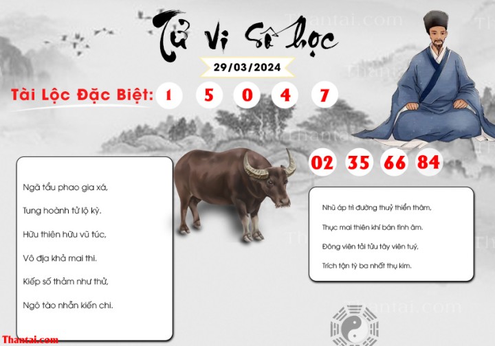 TỬ VI SỐ HỌC 14/03/2024