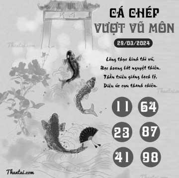 CÁ CHÉP VƯỢT VŨ MÔN 29/03/2024