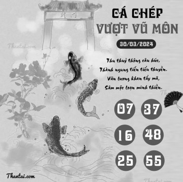 CÁ CHÉP VƯỢT VŨ MÔN 30/03/2024