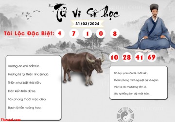 TỬ VI SỐ HỌC 31/03/2024