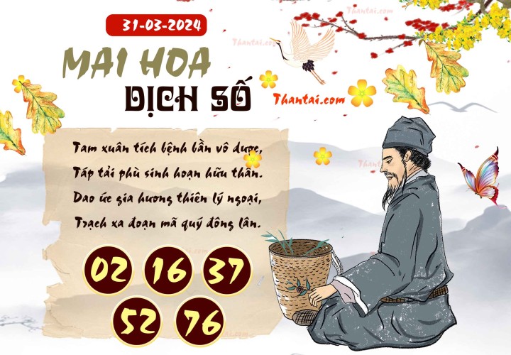 Mai Hoa Dịch Số 16/03/2024