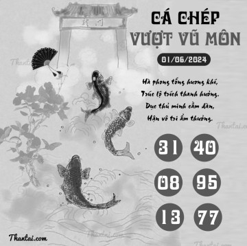 CÁ CHÉP VƯỢT VŨ MÔN 01/06/2024