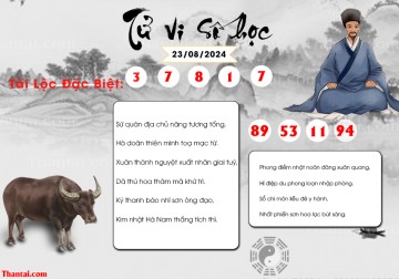 TỬ VI SỐ HỌC 23/08/2024