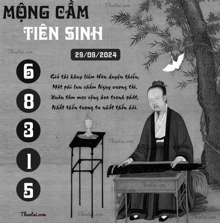 MỘNG CẦM TIÊN SINH 14/09/2024
