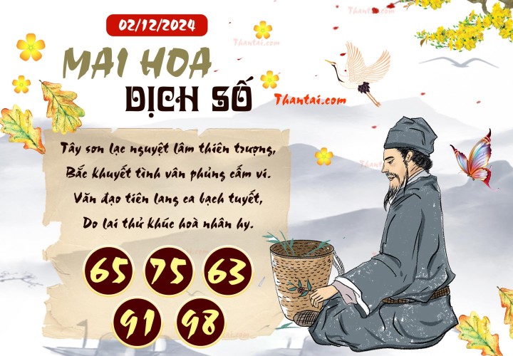 Mai Hoa Dịch Số 17/11/2024