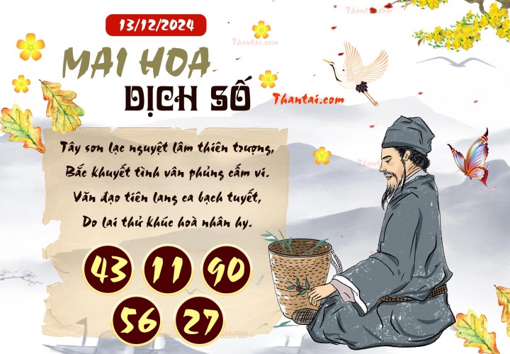 Mai Hoa Dịch Số 28/11/2024