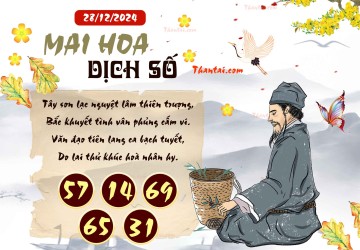 Mai Hoa Dịch Số 28/12/2024