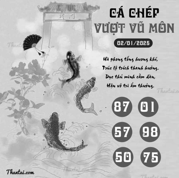 CÁ CHÉP VƯỢT VŨ MÔN 18/12/2024