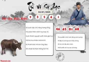 TỬ VI SỐ HỌC 03/01/2025