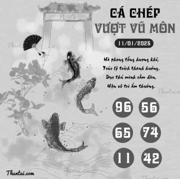 CÁ CHÉP VƯỢT VŨ MÔN 11/01/2025