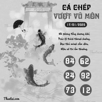 CÁ CHÉP VƯỢT VŨ MÔN 17/01/2025