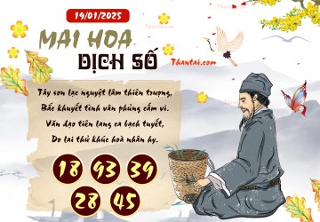 Mai Hoa Dịch Số 19/01/2025