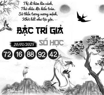 BẬC TRÍ GIẢ SỐ HỌC 20/01/2025