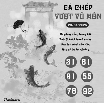 CÁ CHÉP VƯỢT VŨ MÔN 29/04/2025