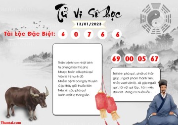 TỬ VI SỐ HỌC 13/01/2023