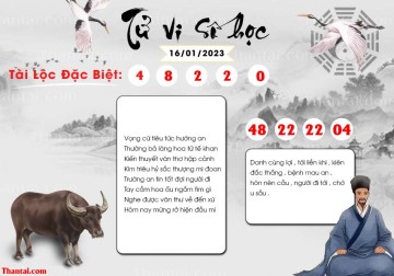 TỬ VI SỐ HỌC 16/01/2023